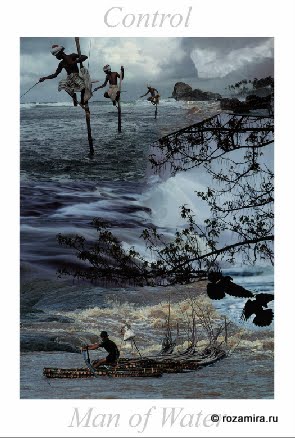 Nature Tarot by Jan Strube